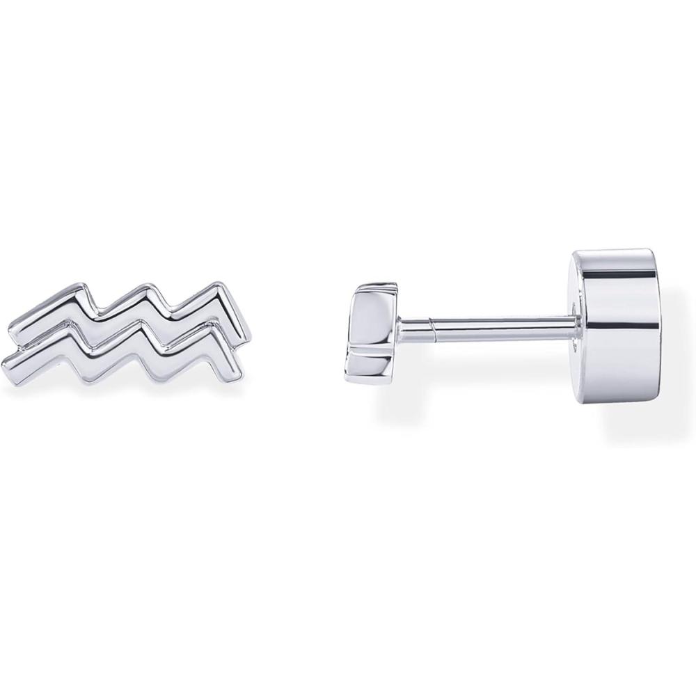 imagePAVOI 14K Gold Plated 925 Sterling Silver Posts Zodiac Sign Flat Back Earring Studs  Birthday Gift for Women  Astrology Earring PairAquarius