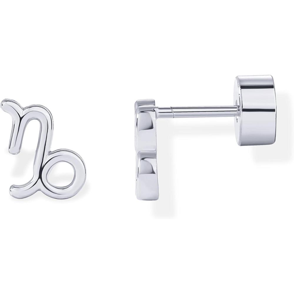 imagePAVOI 14K Gold Plated 925 Sterling Silver Posts Zodiac Sign Flat Back Earring Studs  Birthday Gift for Women  Astrology Earring PairCapricorn