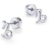 PAVOI 14K Gold Plated 925 Sterling Silver Posts Zodiac Sign Flat Back Earring Studs | Birthday Gift for Women | Astrology Earring Pair(Capricorn)