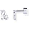 PAVOI 14K Gold Plated 925 Sterling Silver Posts Zodiac Sign Flat Back Earring Studs | Birthday Gift for Women | Astrology Earring Pair(Capricorn)