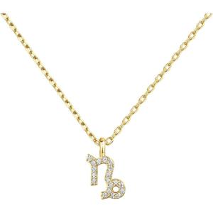 PAVOI 14K Gold Plated Cubic Zirconia Astrology Necklaces for Women – Zodiac Pendant Jewelry Gifts – Zodiac Sign Pendant Necklaces(Capricorn)