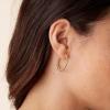 PAVOI 14K Gold Plated 2.5mm Twisted Rope Hoop Earrings for Women | Round Hoops Earrings(Yellow Gold)