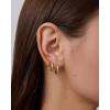 PAVOI Waterproof Hoop Earrings Set for Women – Stainless Steel Multi-Pack with Cubic Zirconia – Small & Chunky Huggie, Thin Hoops, Oval Styles – Trendy Fashion Piercing Jewelry(White Gold)