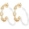 PAVOI Waterproof Chain Hoop Earrings for Women – 14K Gold Plated Anchor Link Huggie Hoop Chain Earrings – Stainless Steel Lightweight Statement Jewelry(Yellow Gold)